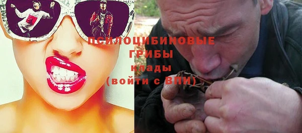 PSILOCYBIN Алексеевка