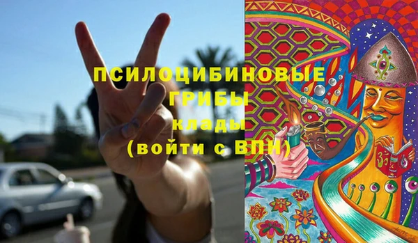 шишки Алзамай