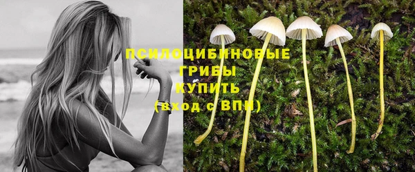 PSILOCYBIN Алексеевка