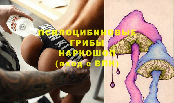 PSILOCYBIN Алексеевка