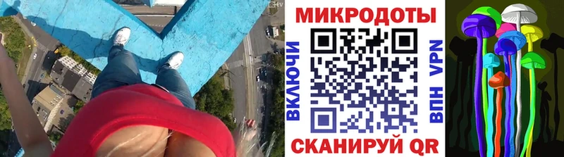 Галлюциногенные грибы Psilocybine cubensis  цены наркотик  Артём 